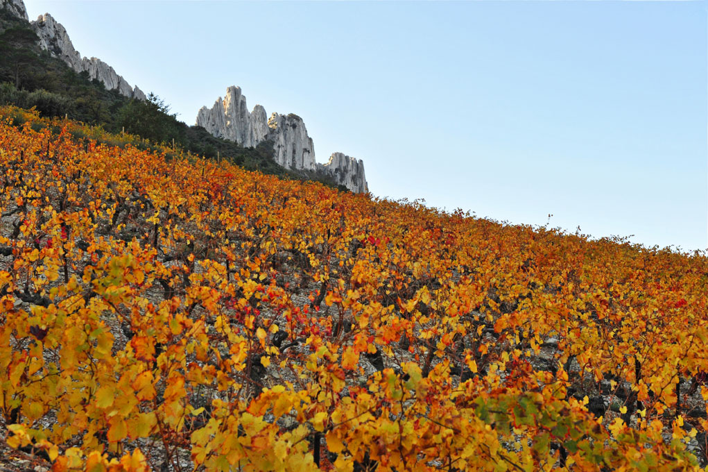 Fall on Crete